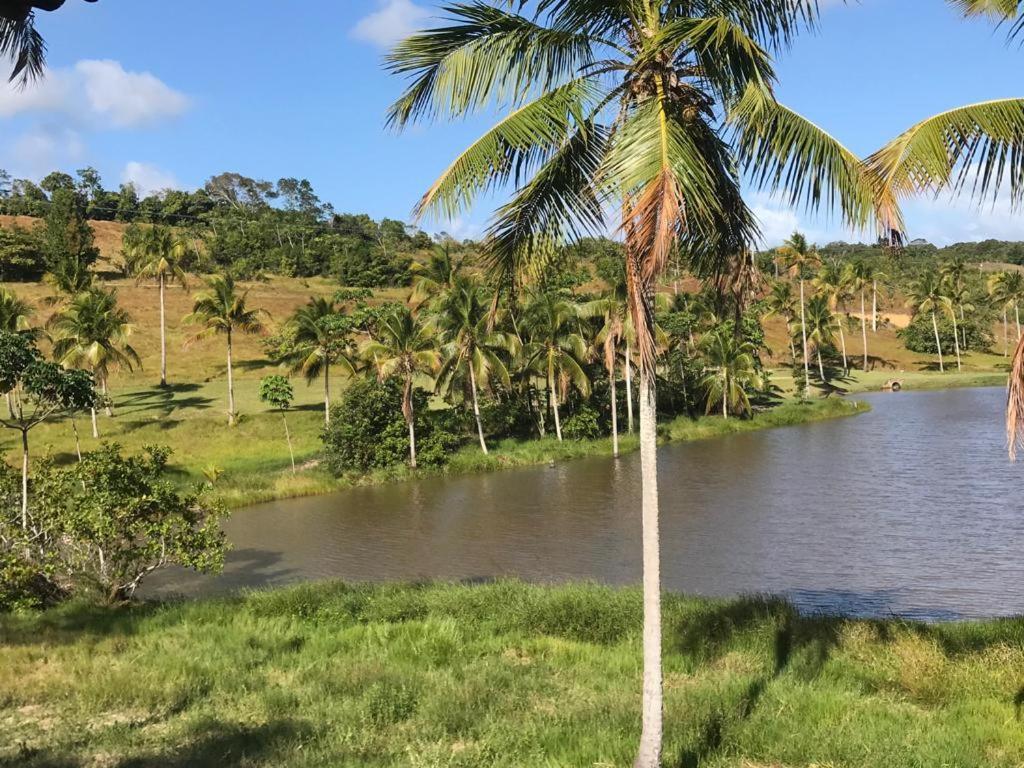 Oka Milagres 22 Villa São Miguel dos Milagres Exteriör bild